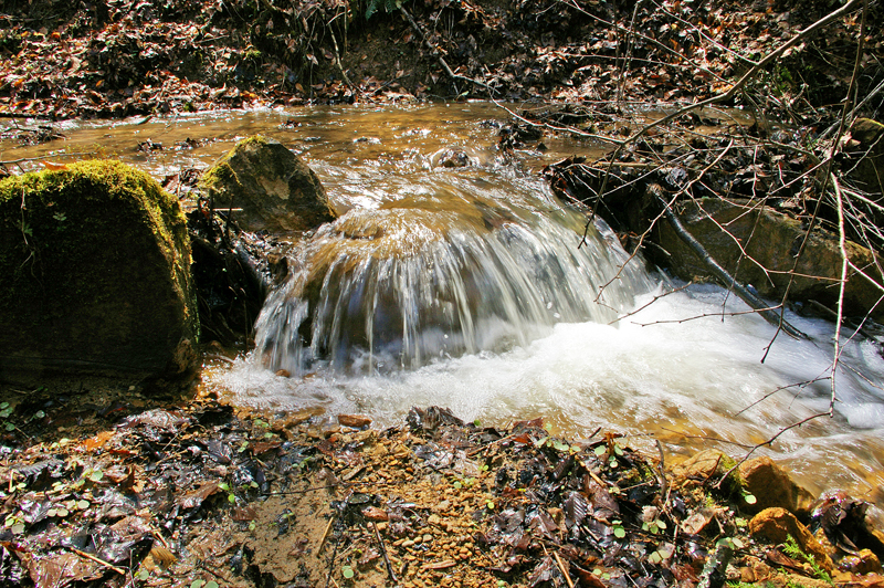 Magofin County 058p_edited-2.jpg