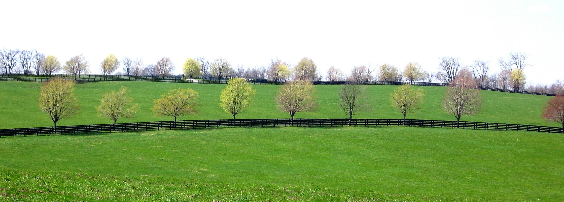 Bluegrass Kentucky landscape