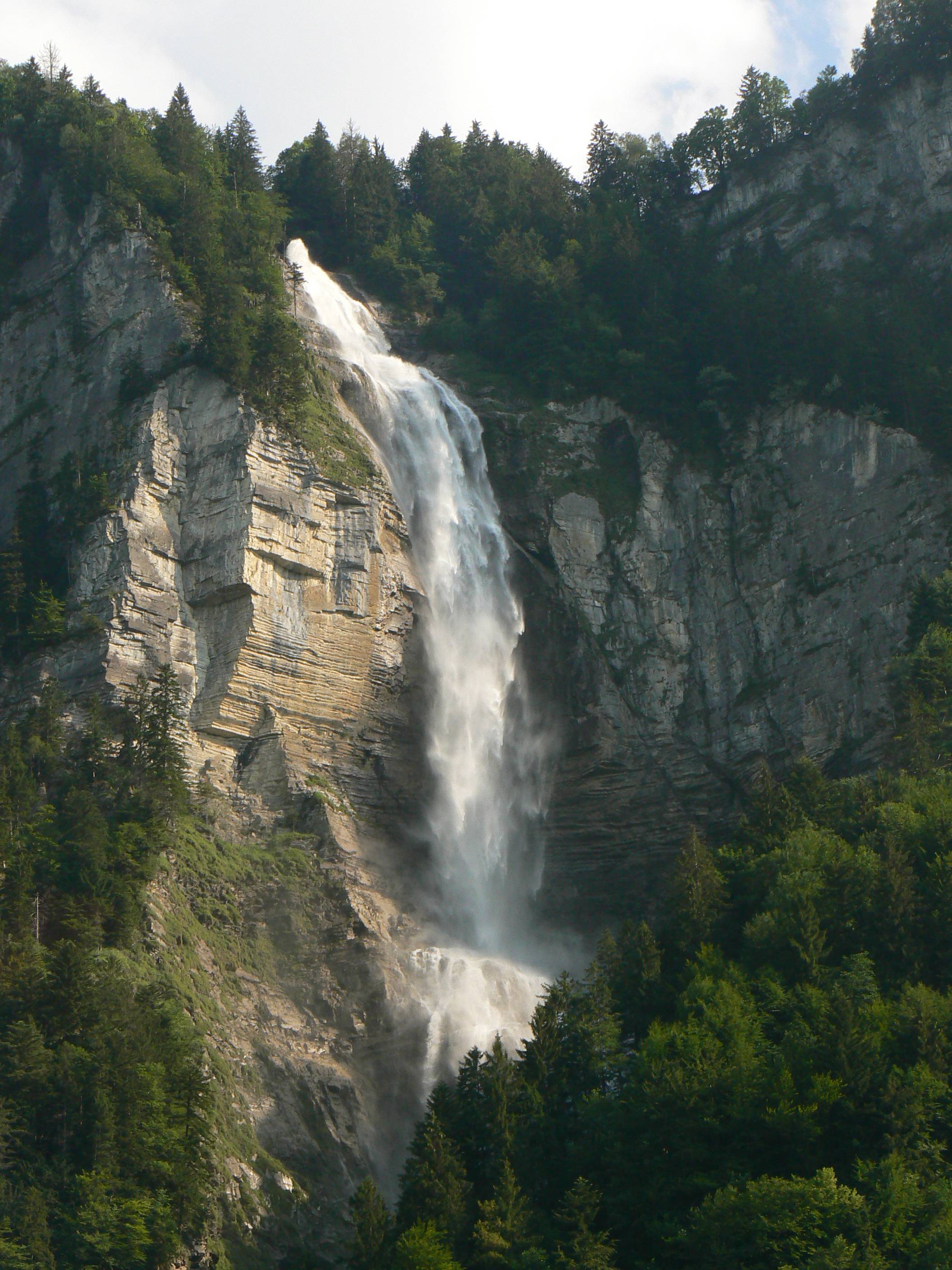 P1020353.JPG