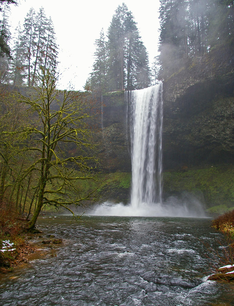 Upper South  Silver Creek Falls,OR