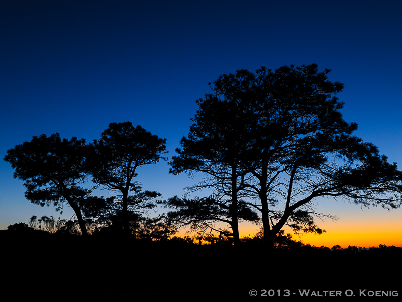 Afterglow at Point Loma