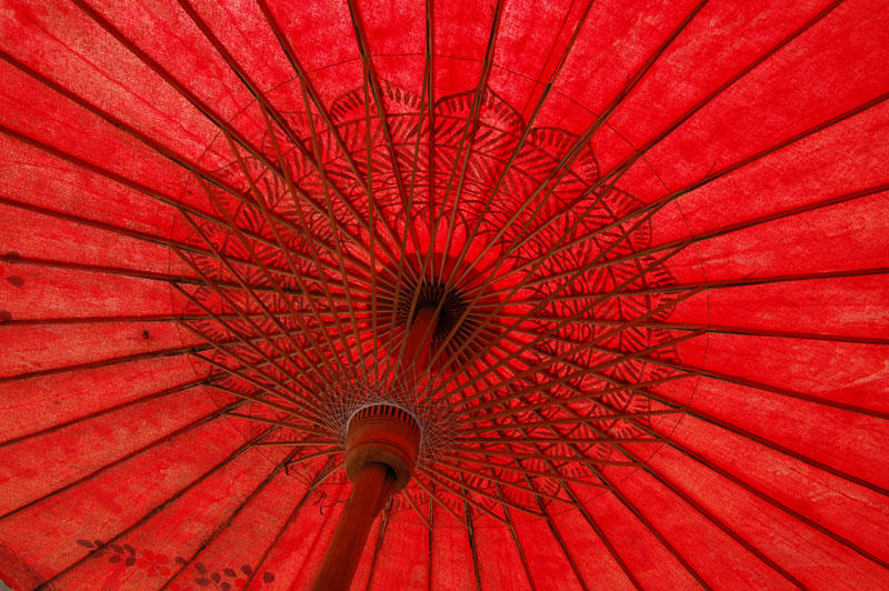 Japanese Umbrella 2