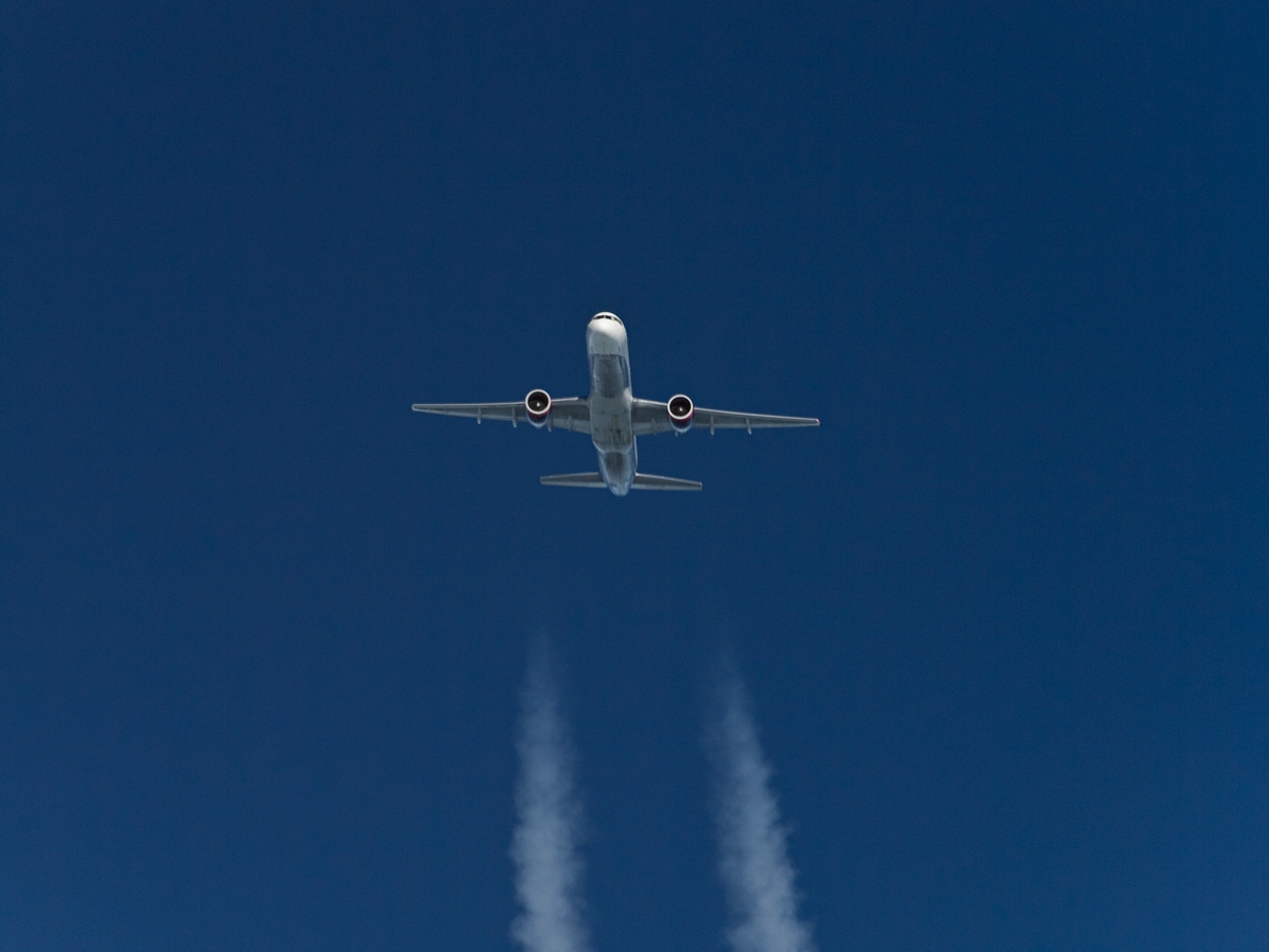 L1000603sm.jpg