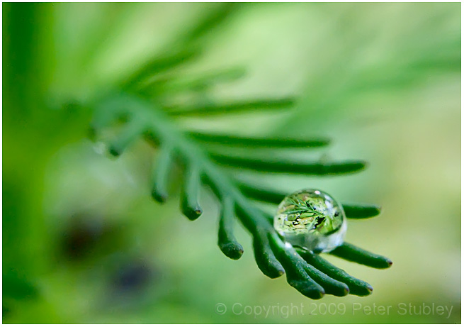 A world in the palm of the hand.