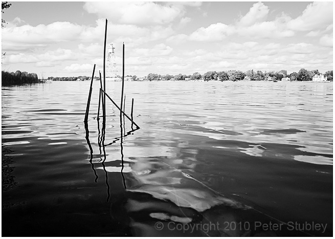 Reeds.