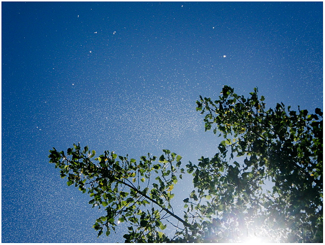 Daytime starscape!