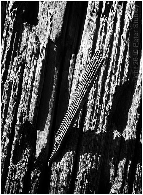 Sun dial?