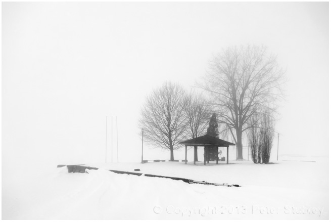 Foggy winter dream.