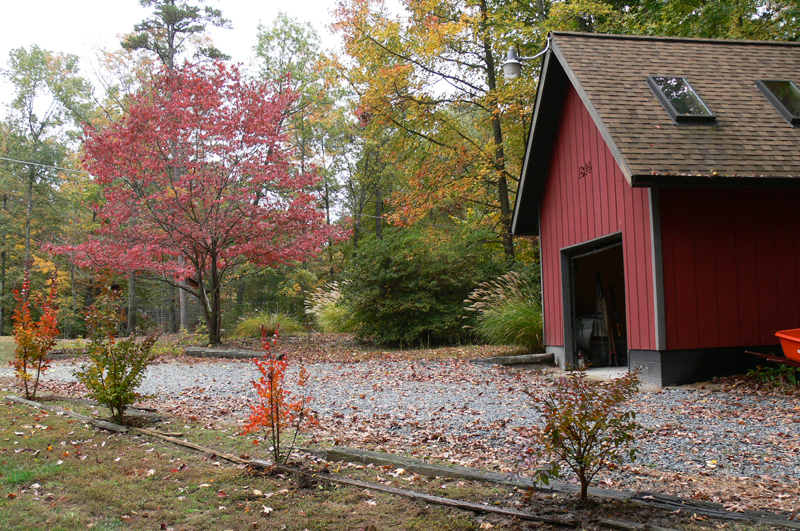 Fall at the Lake.JPG