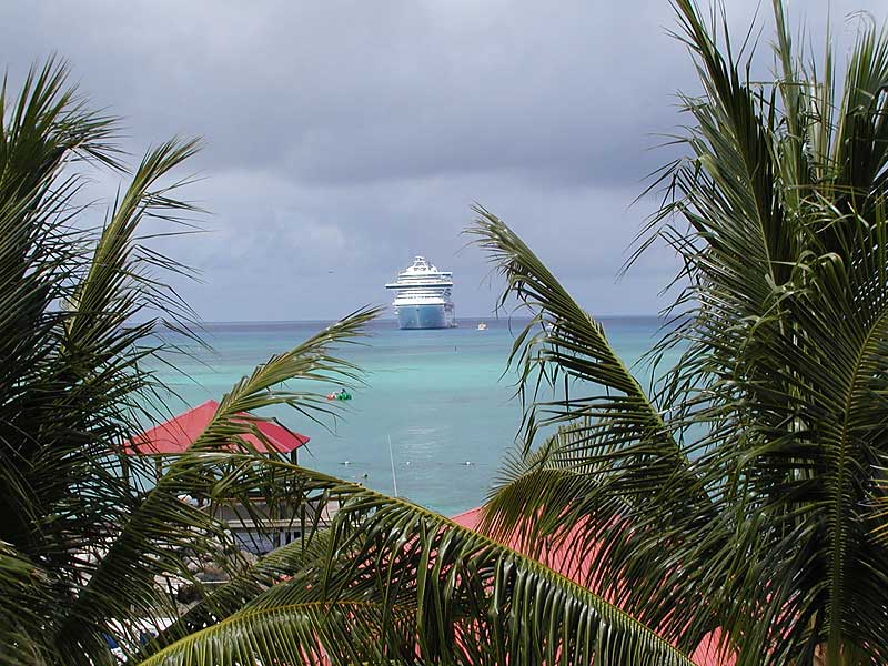Caribbean Princess from the observation tower at Princess Cays