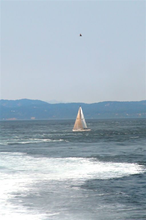 36-Victoria-Oak Bay-DSCN0063.JPG