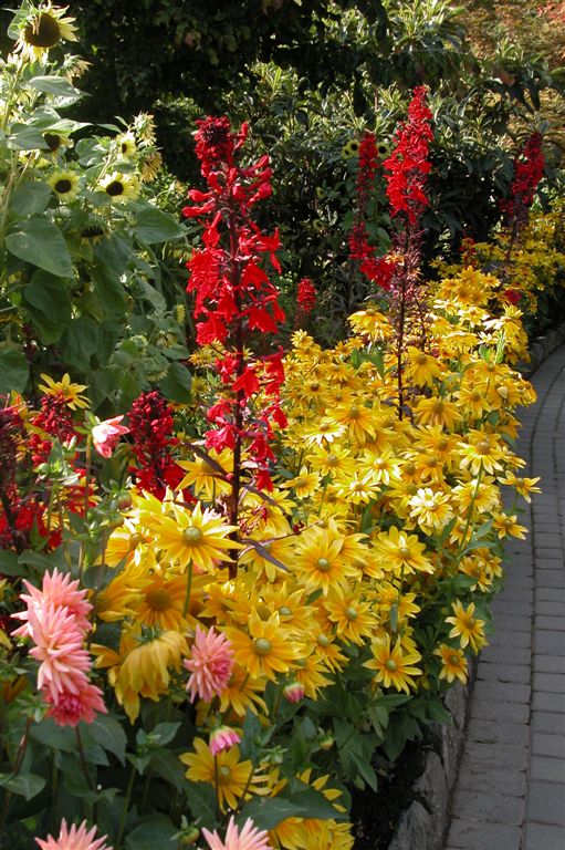 44-Butchart Gardens-Flowers-DSCN0059-2 (37).JPG