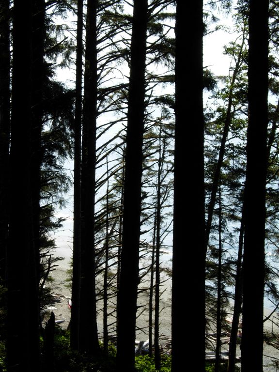 China Beach-view of water through trees-DSCN1289.jpg