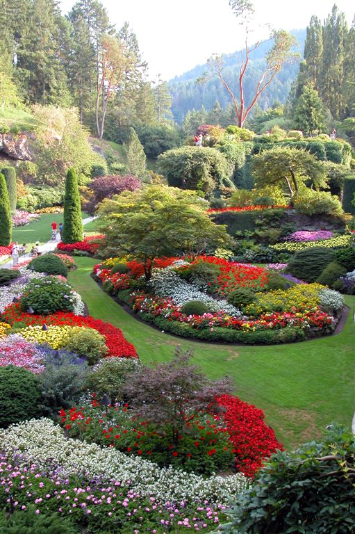 Garden-Butchart Gardens-DSCN0123.JPG