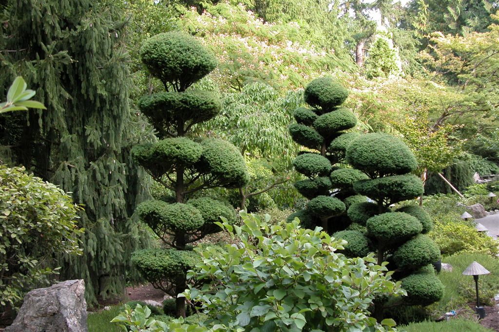 Japanese Garden-Butchart Gardens-DSCN0110 (20).JPG