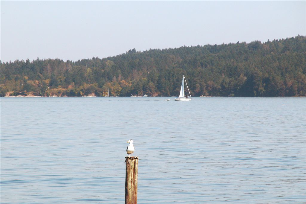 on the Mill Bay ferry.jpg