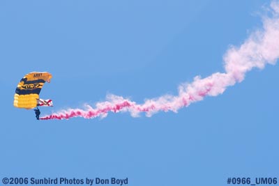 USA Golden Knights performing at Opa-locka Airport air show stock photo #0966