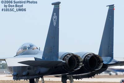 USAF McDonnell Douglas F-15E-44-MC Strike Eagle #AF87-0199 military air show stock photo #1015C