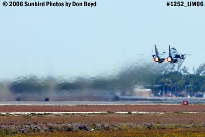 USN Grumman F-14D-170-GR Tomcat #164603 takeoff military aviation air show stock photo #1252