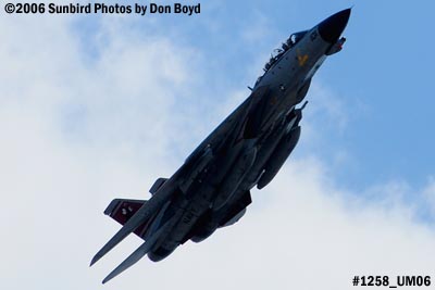 USN Grumman F-14D-170-GR Tomcat #164603 fly-by military aviation air show stock photo #1258