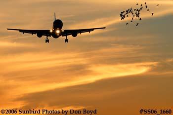 American Airlines B757-223 N659AA bird hazards sunset airline aviation stock photo #SS06_1660