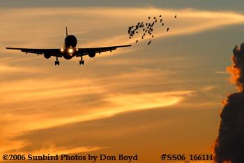 American Airlines B757-223 N659AA bird hazards sunset airline aviation stock photo #SS06_1661