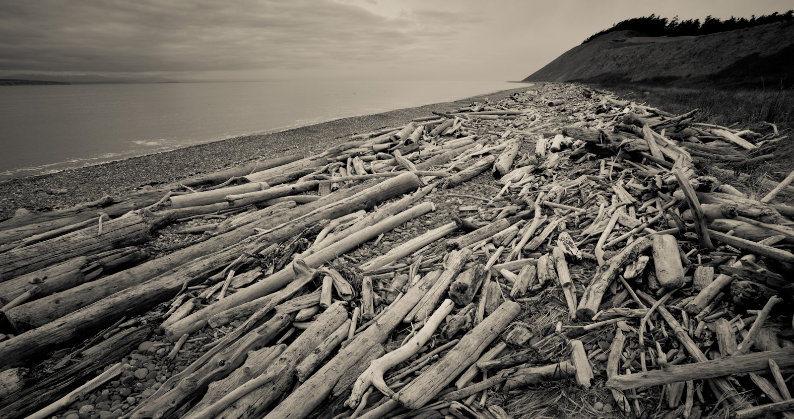 Ebeys Landing State Park <br>(Coupeville_Ebey_031113-43-2.jpg)
