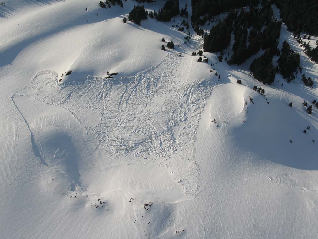 Avalanche Into Tree Line, NW Slopes (MtBaker042506-_037adj.jpg)