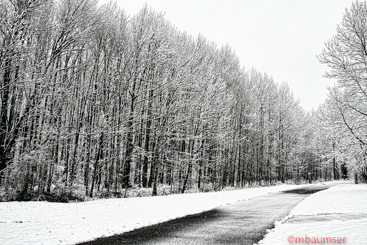 Polansky Park Edison NJ In The Snow 37295