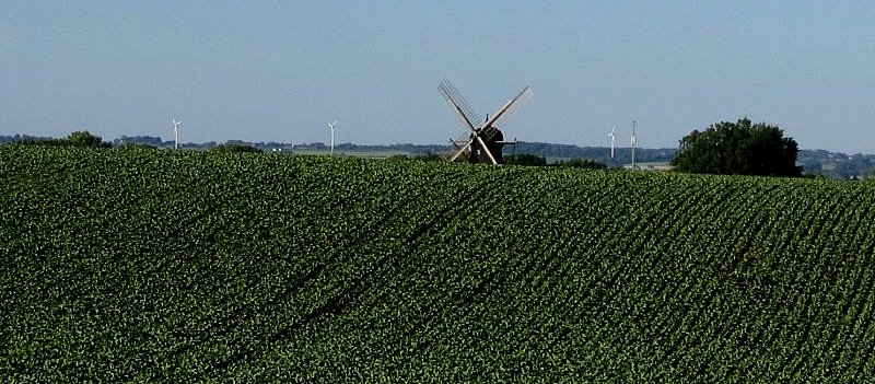 windmills