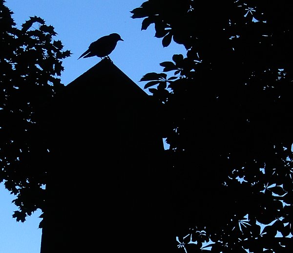 cementary