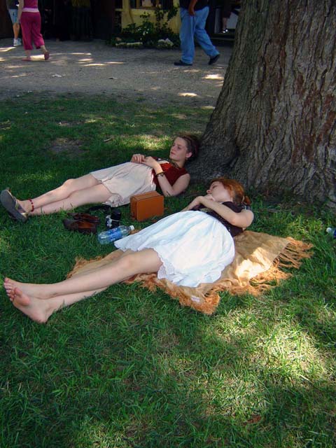 A tall tree, a spot of shade, a warm day, what a time for a nap