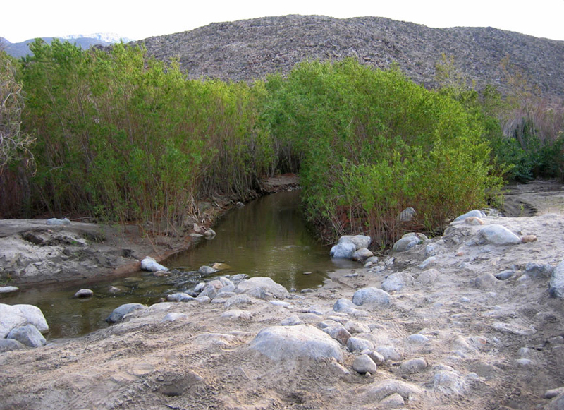 One of several Coyote Creek crossings. Yes, the creek is the road, so over the rocks and through the creek we go...