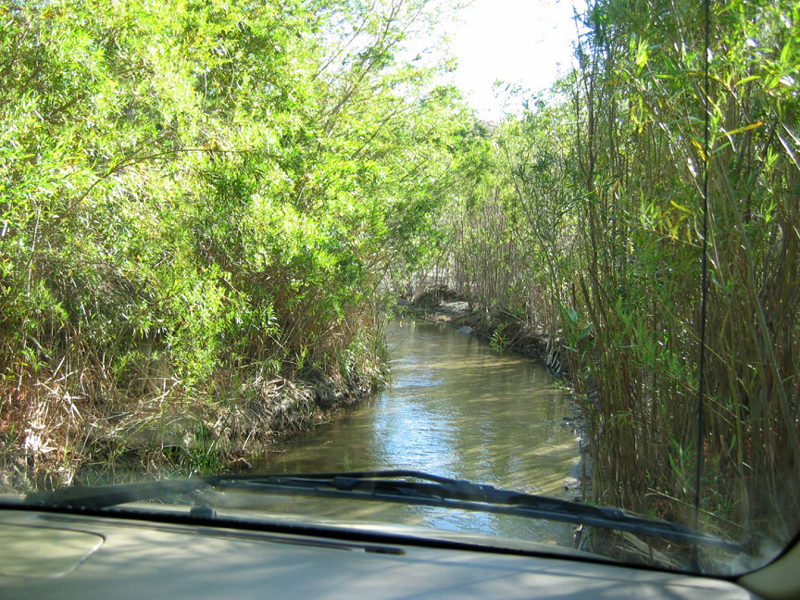 Coyote Creek crossing on return trip