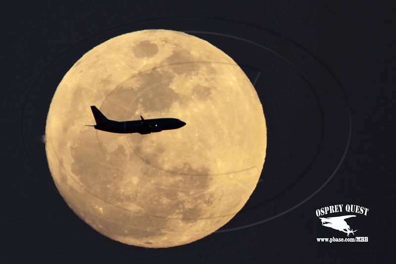 _MG_9482 jet and moon.jpg