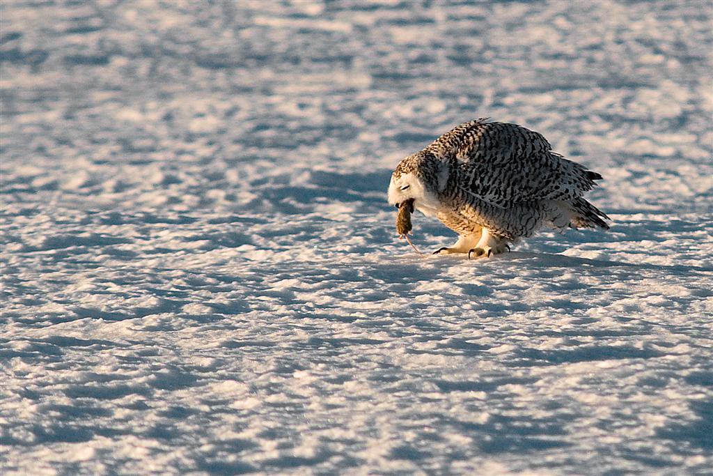 DSC_3774 Large.jpg