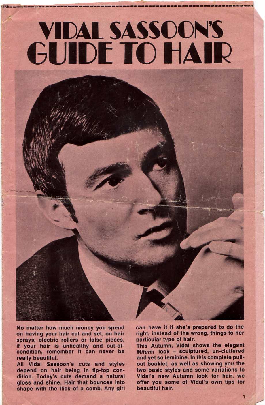 Vidal Sassoon Mifumi style.