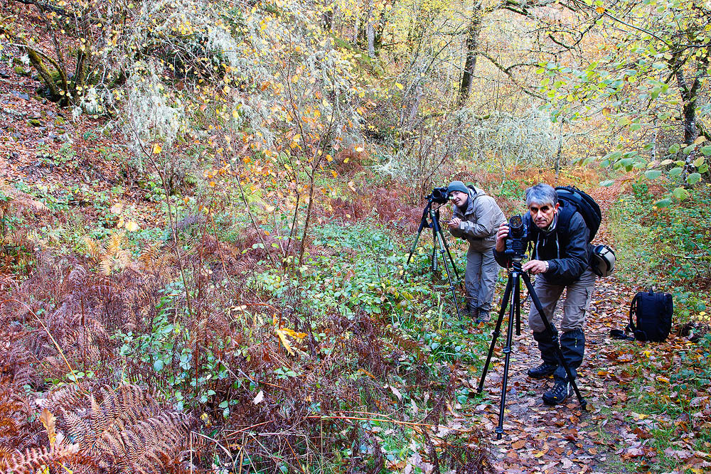 My friends Julio and Hugo at Muniellos forest.