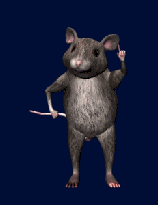 Mouse