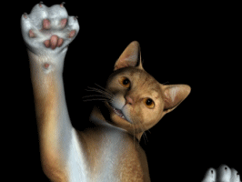 o4/21/4121/1/56596162.katzekratztwwwmanglat.gif