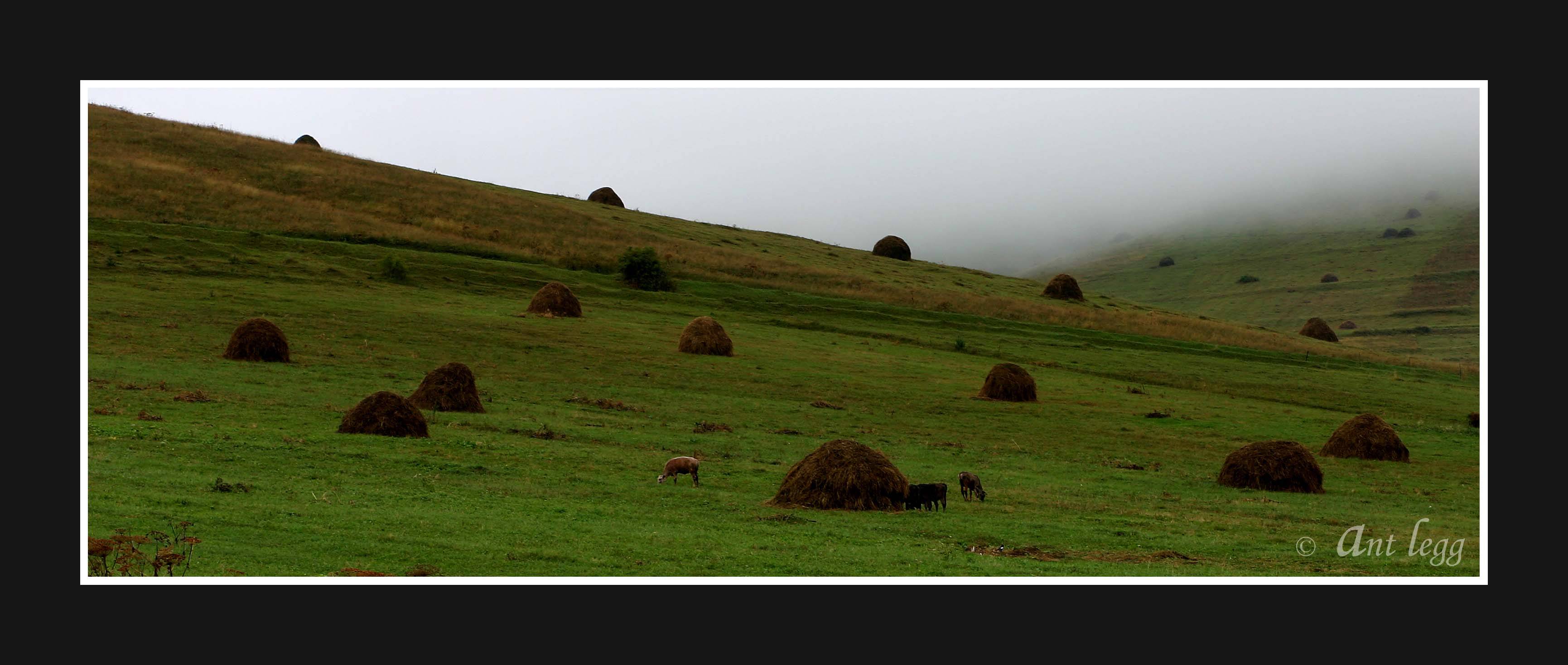 haystacks