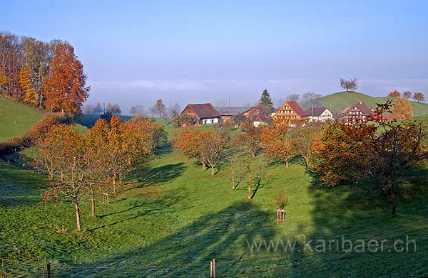 Luethaertigen (9291)