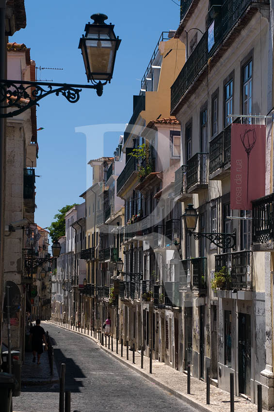 Rua da Rosa