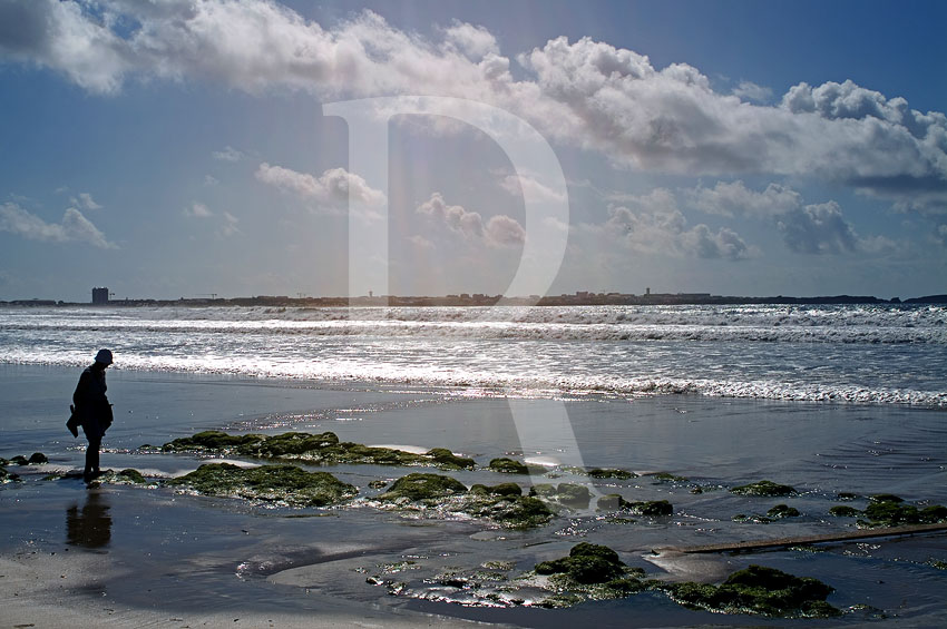 Baleal