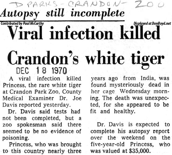 1970 - article on cause of death of Princess, Crandon Park Zoos white tiger