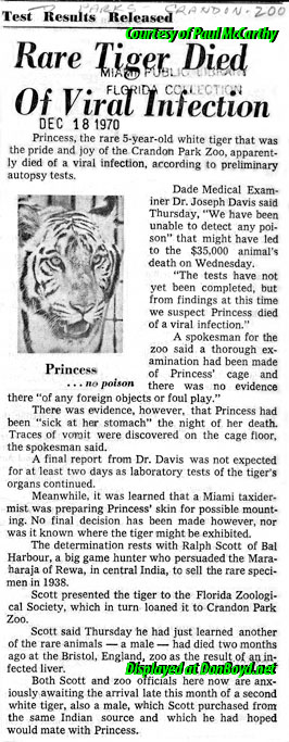1970 - article on cause of death of Princess, Crandon Park Zoos white tiger