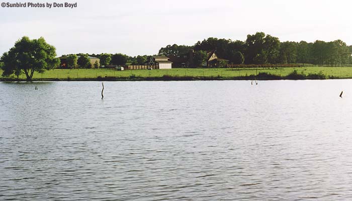 Early 1990s - the Griner pond, farm and home