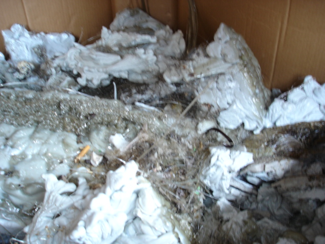 PET purging