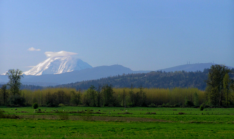 Mt. Rainier with a halo