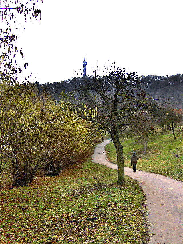 A 26 MAR 09